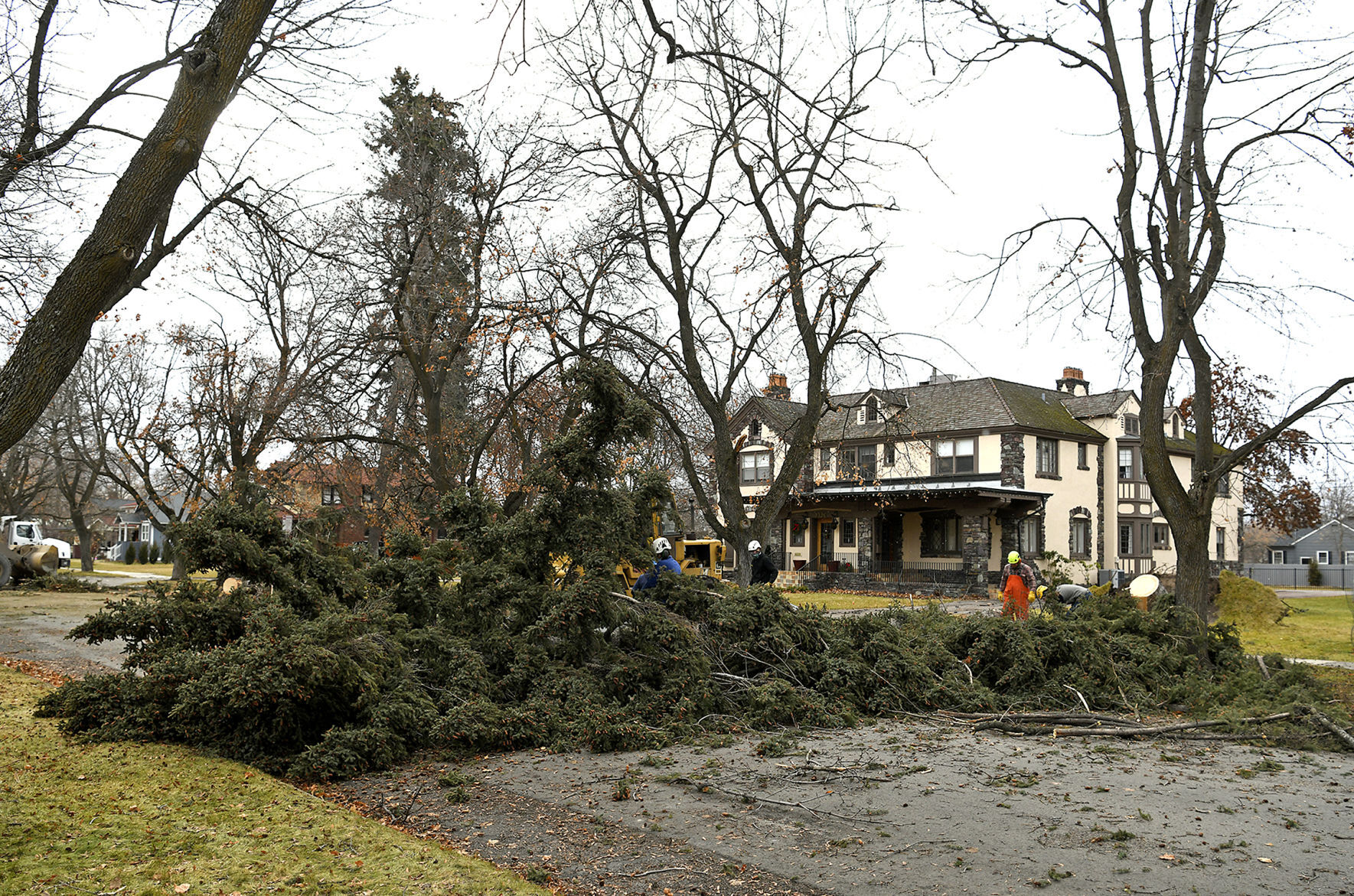 Windstorm in Missoula 17